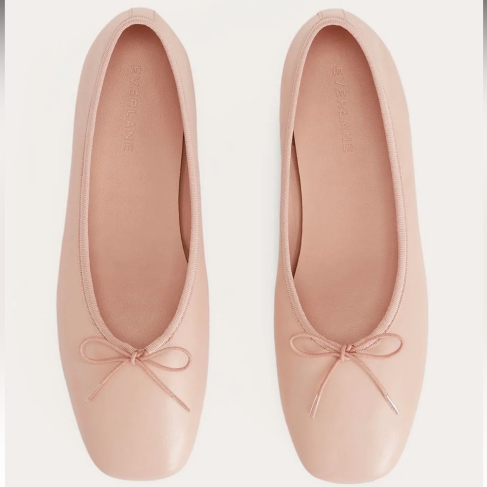 EVERLANE the day ballet flat pale pink